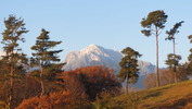 南アルプス(20141128)甲斐駒ヶ岳