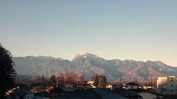 Æî¥¢¥ë¥×¥¹(20131205)