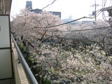 ������2007[04.01-1]