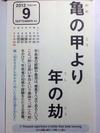 亀の甲より年の劫
