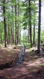 三分一湧水(2011.05.21)