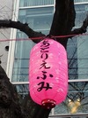 中野通り桜まつり2012(提灯「あとりえふみ」)