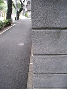 ���ߡ�æ��塦����������2010.07.26