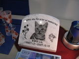 ȸήŸ2008GARDENڥåС