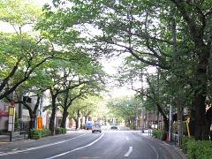 �����̤�ֺ��ס�2009.04.29-��