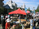 131_3176.JPG-garasu-ichi1