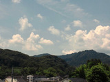 高尾(2011.8)