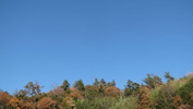 上野原(20141203)