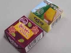 祳2009ܺVS̳ƻ˥ѥå