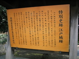 137_3737.JPG-edo3