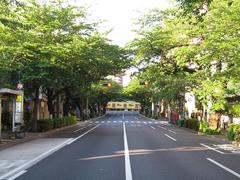 ��-2010�������̤�����05.15��