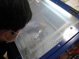 体験(マグカップ-1)