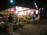 148_4856.JPG-asagao1