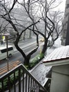 ¹ßÀãÃæ¡Ê2012.2.29¡Ë1