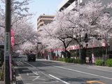 ̤080403̡
