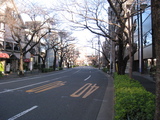 ö2009.01.01-̡̤