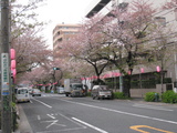 ̤080407̡