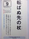 転ばぬ先の杖
