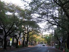 �����̤�ֺ��ס�2009.04.15-��