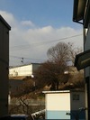 南アルプス(20150312)