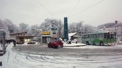 Ĺºä±ØÁ°(20131219)