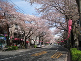 ̤080405̡