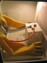 daa53943.JPG
