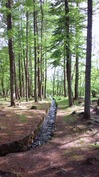 三分一湧水(山梨県北杜市)