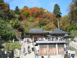 Ωлʩ¡Ƿ