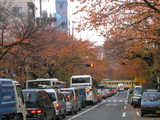 134_3426.JPG-sakura-aki
