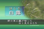 白露