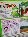 TOPPO「京都宇治抹茶パフェ」裏書