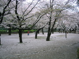 ��2007[ů��Ʋ04.04-2]