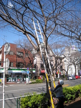 NTT������080220��