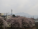 八ヶ岳(20150410)牛池