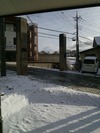 積雪(20150304)北東