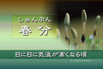 春分