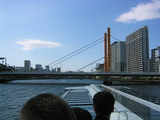 綶ʣ