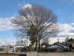 �Գ��βȡ�2010.01.02��ݰ