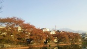 牛池(20140227)八ヶ岳