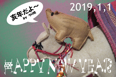 2019newyear