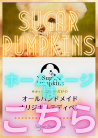 Sugar Pumpkins (11)