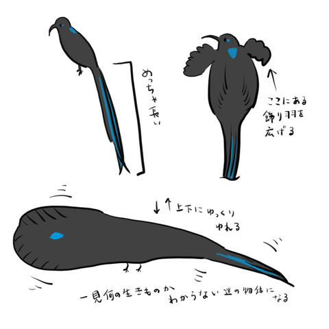 onagakamahashihuucyou01-2