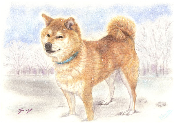 色鉛筆で描くリアルな似顔絵 あとりえピノコ 色鉛筆で描くリアルな似顔絵 あとりえピノコ