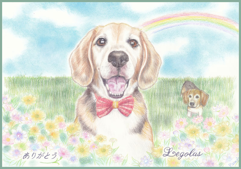 わんちゃん似顔絵(*^^*)ポメ、チワワ、ヨーキー、ビーグルちゃん