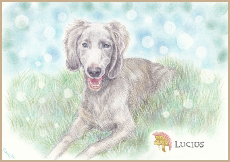 リアルタッチ似顔絵イラスト(*^^*)わんちゃんいろいろ : あとりえピノコ