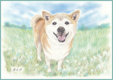 あとりえピノコ ペットイラスト あとりえピノコ ペットイラスト