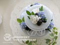 2�ʤΥ֥롼�٥꡼������