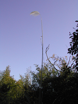 052309d5.JPG