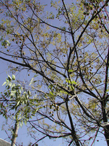 0f33866e.JPG